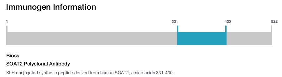 SOAT2 Polyclonal Antibody