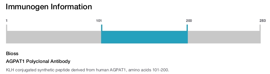 AGPAT1 Polyclonal Antibody
