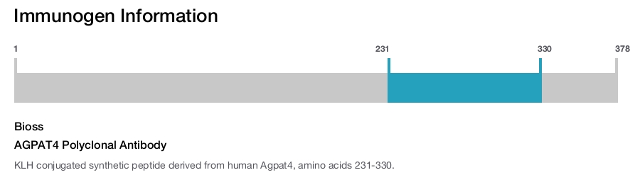 AGPAT4 Polyclonal Antibody