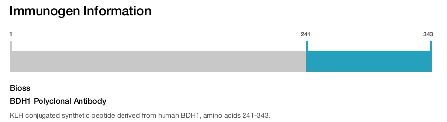 BDH1 Polyclonal Antibody