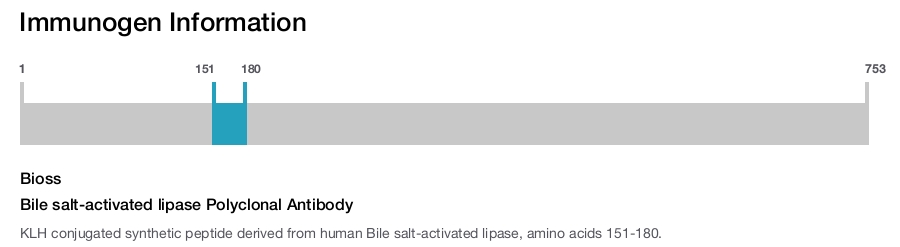 Bile salt-activated lipase Polyclonal Antibody