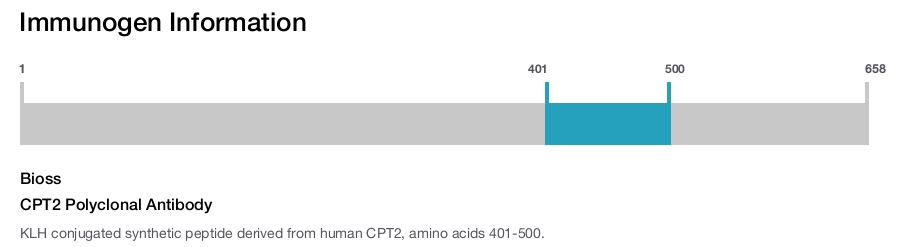 CPT2 Polyclonal Antibody