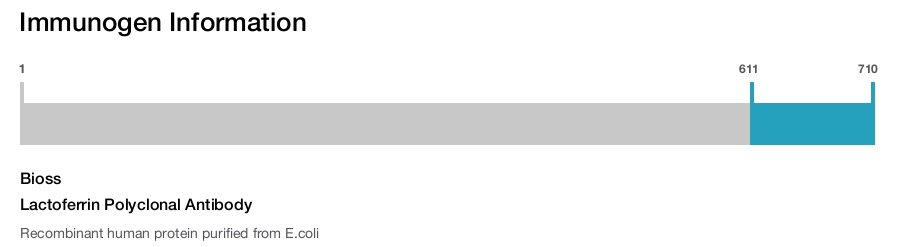 Lactoferrin Polyclonal Antibody