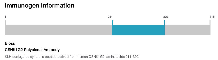 CSNK1G2 Polyclonal Antibody