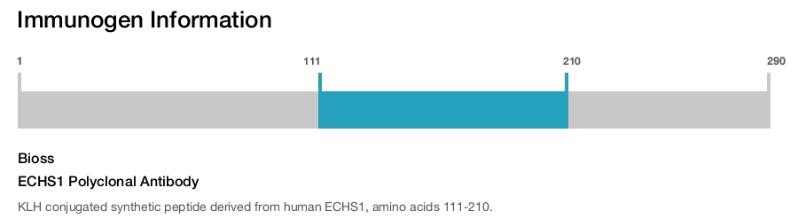 ECHS1 Polyclonal Antibody