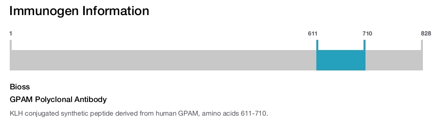 GPAM Polyclonal Antibody