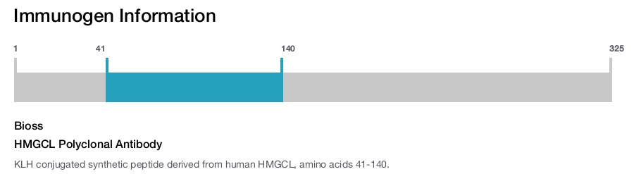 HMGCL Polyclonal Antibody