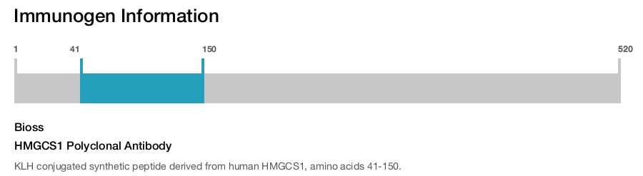 HMGCS1 Polyclonal Antibody