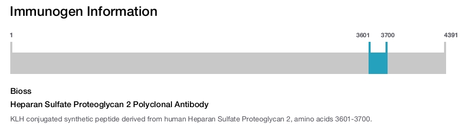 Heparan Sulfate Proteoglycan 2 Polyclonal Antibody
