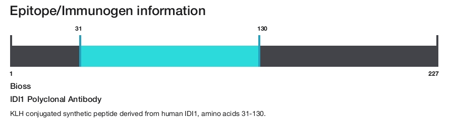 IDI1 Polyclonal Antibody