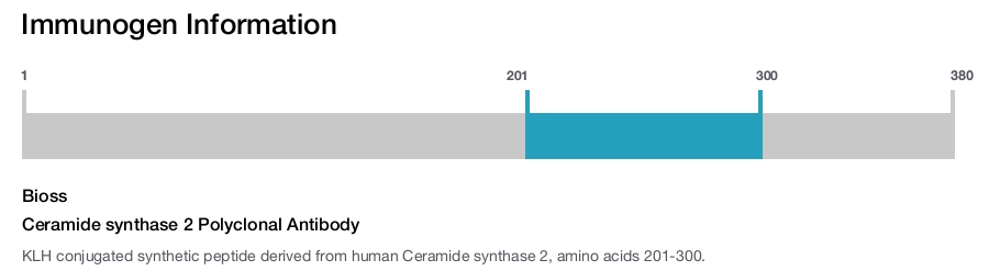 Ceramide synthase 2 Polyclonal Antibody