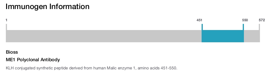 ME1 Polyclonal Antibody