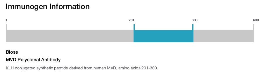 MVD Polyclonal Antibody