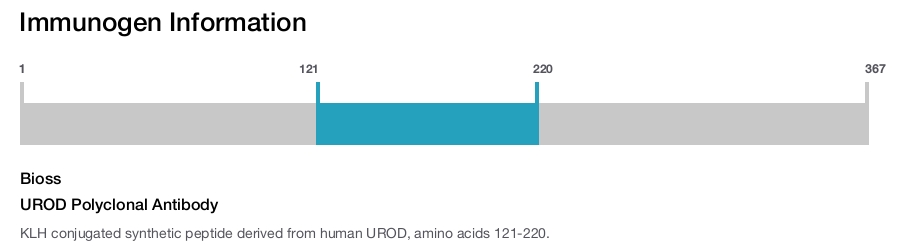 UROD Polyclonal Antibody