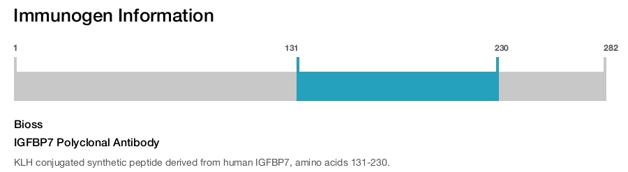 IGFBP7 Polyclonal Antibody