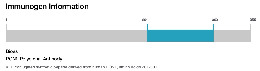 PON1 Polyclonal Antibody
