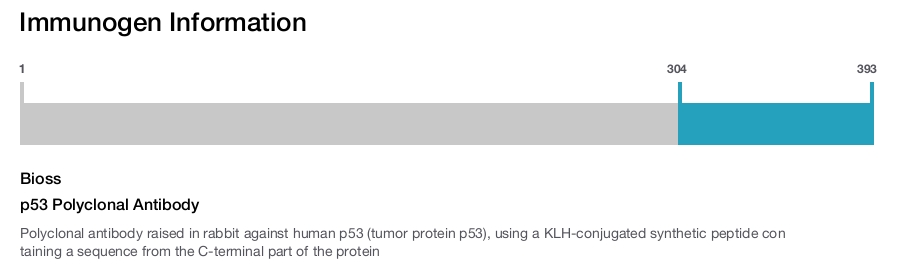 p53 Polyclonal Antibody