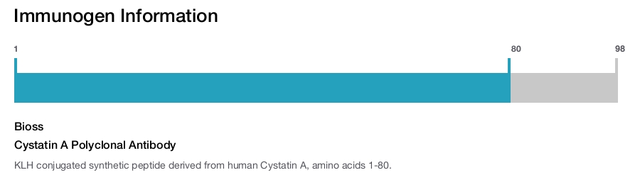 Cystatin A Polyclonal Antibody
