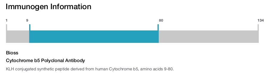 Cytochrome b5 Polyclonal Antibody