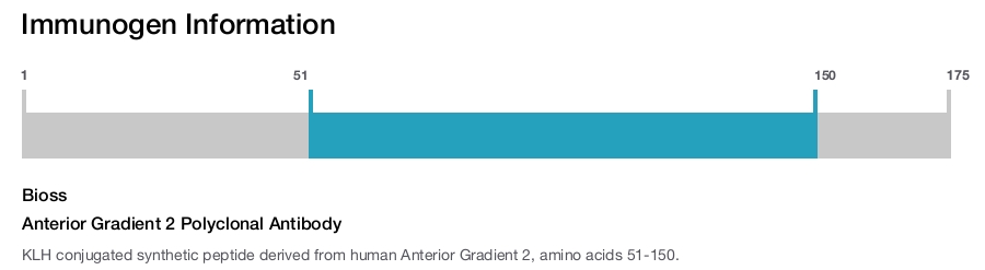 Anterior Gradient 2 Polyclonal Antibody