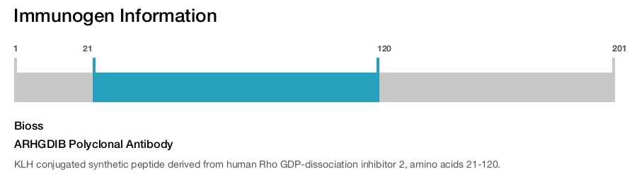 ARHGDIB Polyclonal Antibody