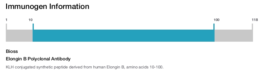 Elongin B Polyclonal Antibody