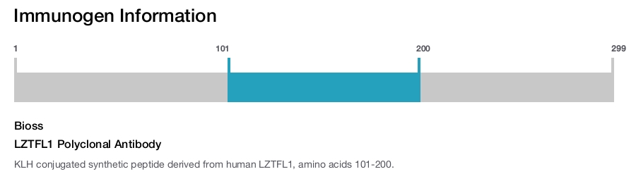 LZTFL1 Polyclonal Antibody