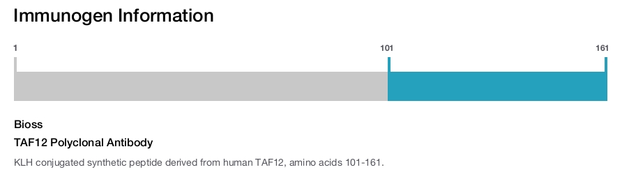 TAF12 Polyclonal Antibody