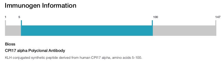 CPI17 alpha Polyclonal Antibody