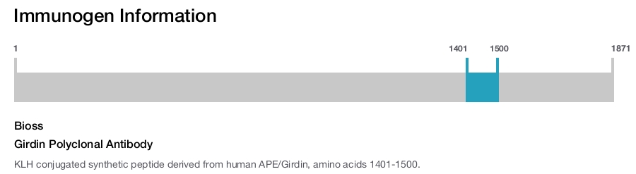 Girdin Polyclonal Antibody