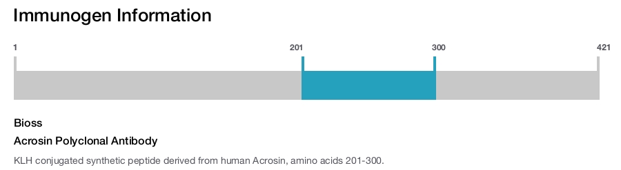 Acrosin Polyclonal Antibody