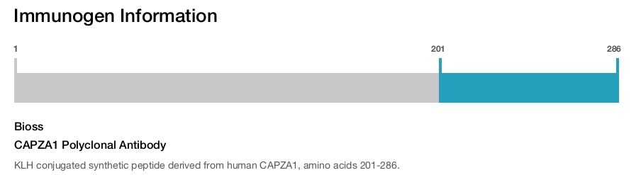 CAPZA1 Polyclonal Antibody