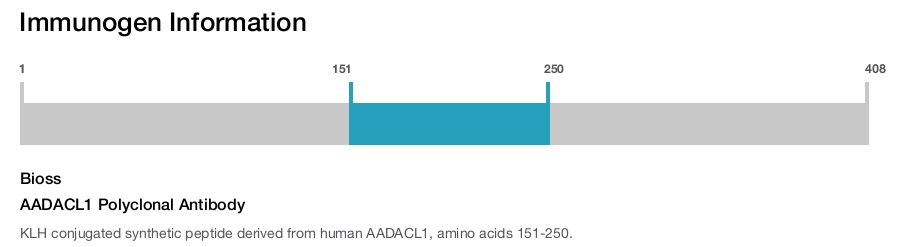 AADACL1 Polyclonal Antibody