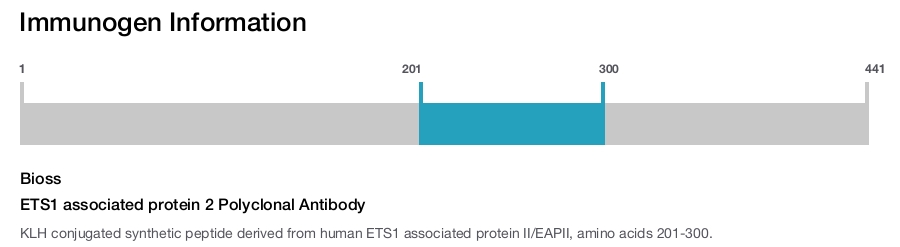 ETS1 associated protein 2 Polyclonal Antibody
