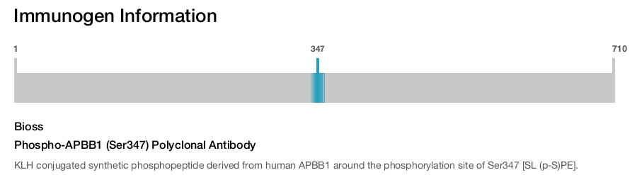 Phospho-APBB1 (Ser347) Polyclonal Antibody