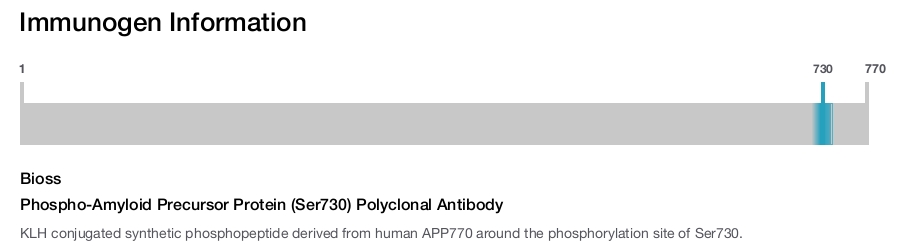Phospho-Amyloid Precursor Protein (Ser730) Polyclonal Antibody