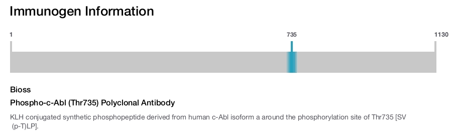 Phospho-c-Abl (Thr735) Polyclonal Antibody
