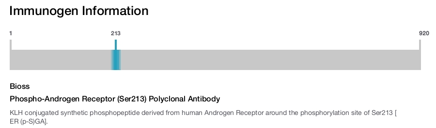 Phospho-Androgen Receptor (Ser213) Polyclonal Antibody