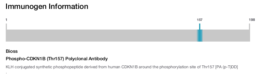 Phospho-CDKN1B (Thr157) Polyclonal Antibody