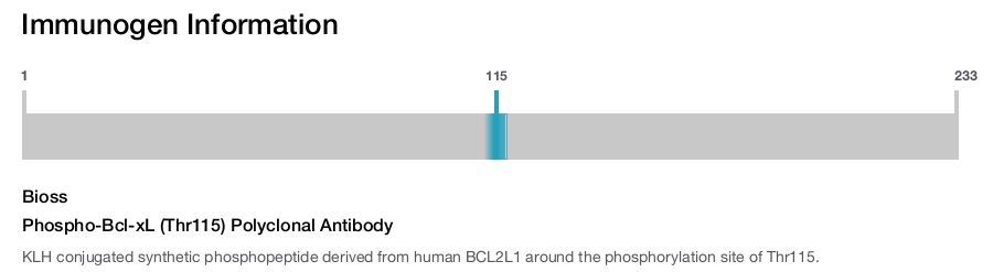 Phospho-Bcl-xL (Thr115) Polyclonal Antibody