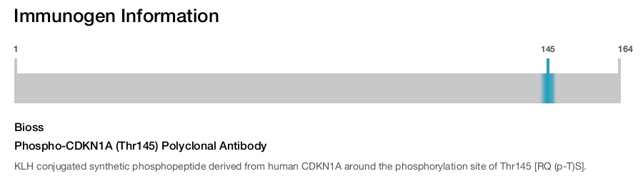 Phospho-CDKN1A (Thr145) Polyclonal Antibody