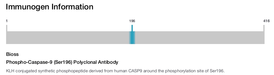 Phospho-Caspase-9 (Ser196) Polyclonal Antibody