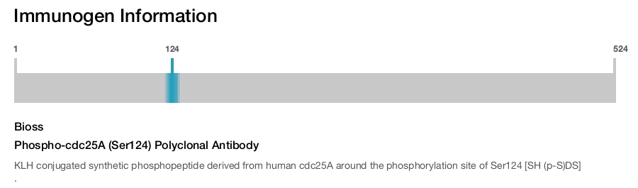 Phospho-cdc25A (Ser124) Polyclonal Antibody