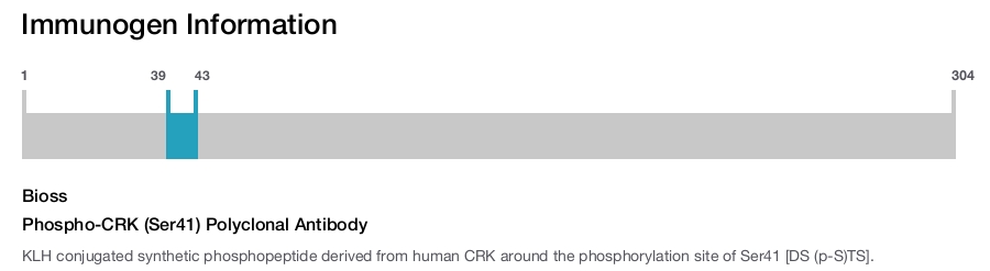 Phospho-CRK (Ser41) Polyclonal Antibody