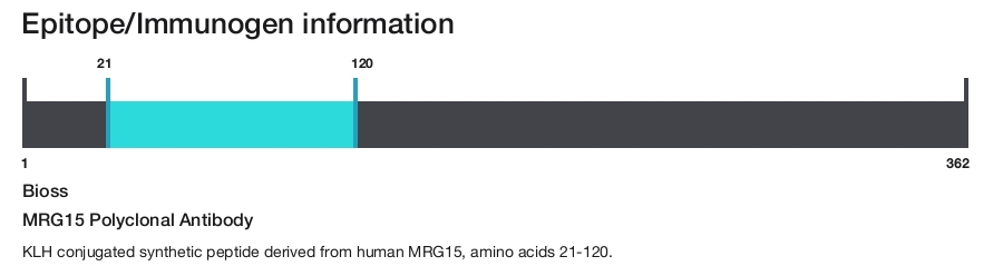 MRG15 Polyclonal Antibody