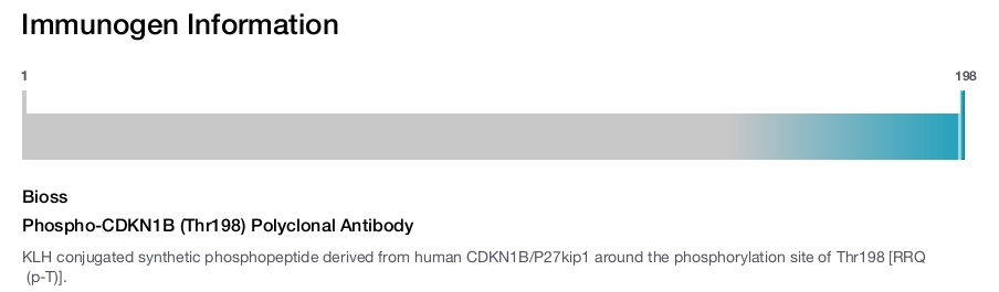 Phospho-CDKN1B (Thr198) Polyclonal Antibody