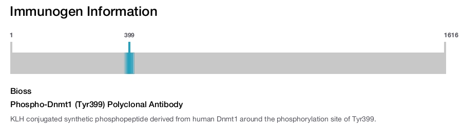 Phospho-Dnmt1 (Tyr399) Polyclonal Antibody