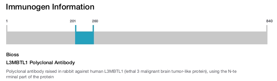 L3MBTL1 Polyclonal Antibody