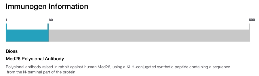 Med26 Polyclonal Antibody