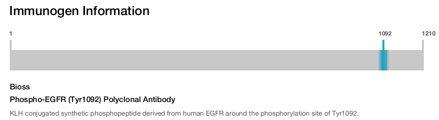 Phospho-EGFR (Tyr1092) Polyclonal Antibody